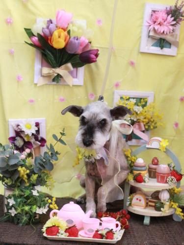 20230322あいこちゃん